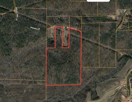 A look at 72 Acres-  Budapest Road commercial space in Tallapoosa