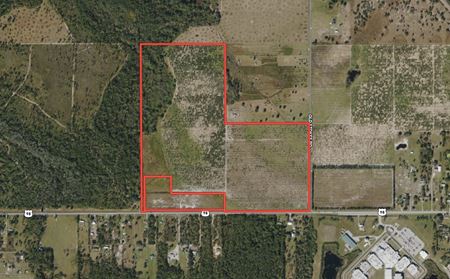 A look at 120 +/- Acre Grove Hwy 98 Frostproof, FL commercial space in Frostproof