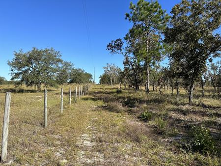 A look at Levy County 10 Acre Homesite commercial space in Dunnellon