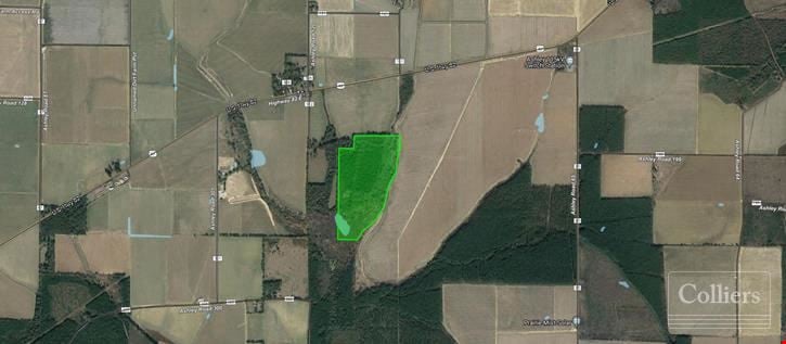 For Sale: 82.5 Acres of Land
