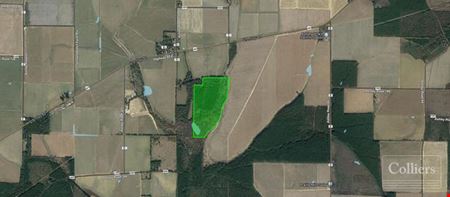 A look at For Sale: 82.5 Acres of Land commercial space in Mist