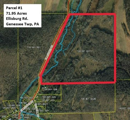 A look at Potter County, PA - 3 Parcels For Sale commercial space in Austin