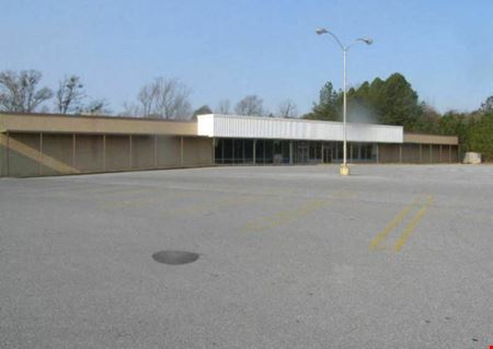 A look at Big Box Co-Anchor For Lease  or SALE - 40,000 SF commercial space in Childersburg