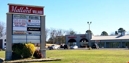 A look at Mallard Village Shopping Center Retail space for Rent in Decatur