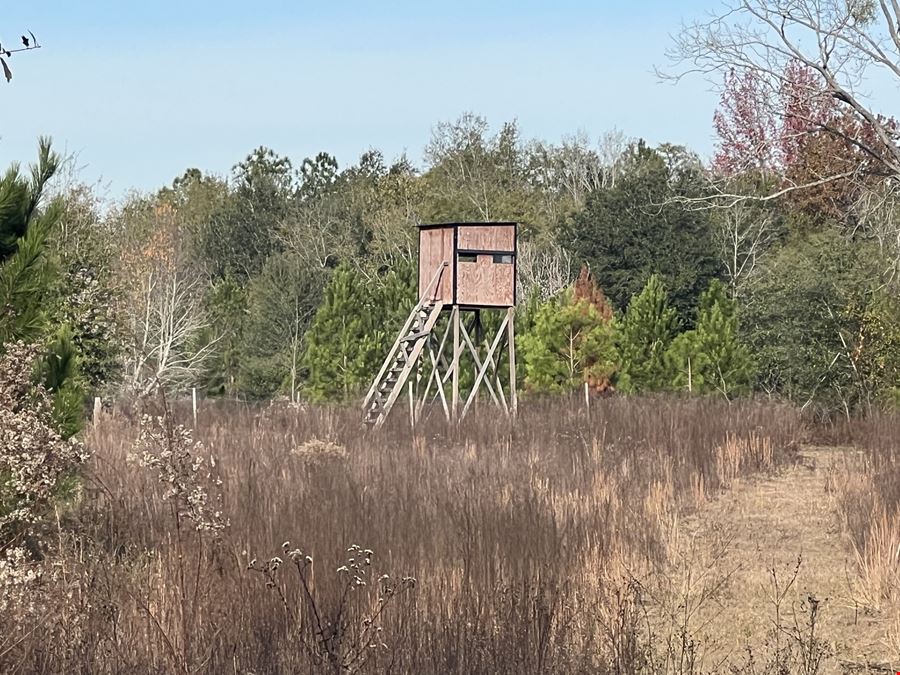 25-Acre Retreat for Hunting and Ideal Homesite near Lake Seminole, GA