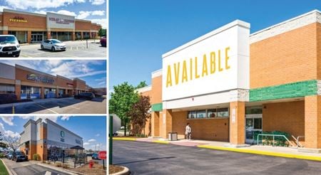 A look at Schaumburg Plaza commercial space in Streamwood