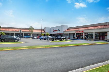 A look at PLAZA LAS FLORES commercial space in AIBONITO