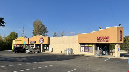 A look at Maple Plaza Retail space for Rent in Brownstown Township