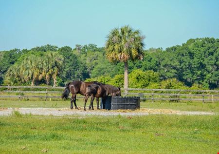 A look at Wesley Chapel Equestrian Acreage commercial space in Wesley Chapel