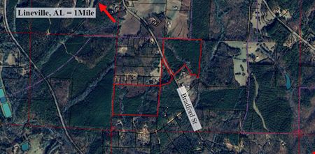 A look at 57.02 Acres Unincorporated Land commercial space in Lineville