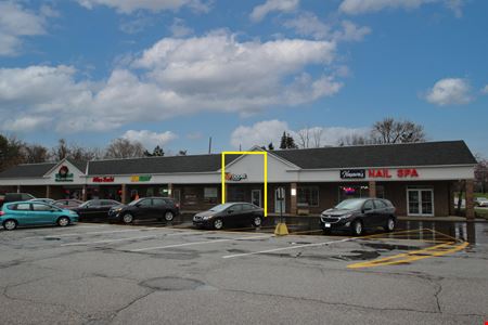 A look at Big Creek Plaza Commercial space for Rent in Parma
