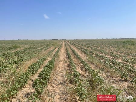 A look at 177.1 Acres Productive Farm Land Hockley Co., TX Commercial space for Sale in Levelland