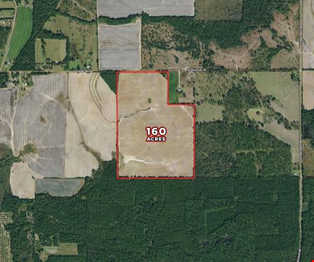 A look at 160 Acre Farm Mitchell County, GA commercial space in Camilla