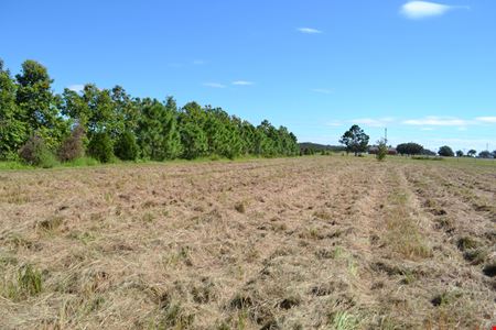 A look at Lake Buffum Acreage commercial space in Fort Meade