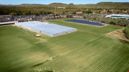 A look at Fully licensed cannabis cultivation facility available for sale/lease via online auction in Whately, MA - Greenhouse 100,000 SF Canopy commercial space in Whately