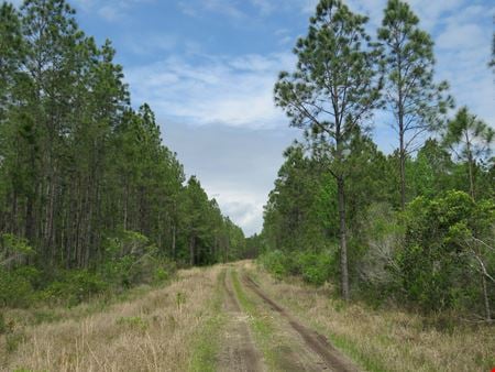 A look at O-I Timberland Tract commercial space in Chiefland
