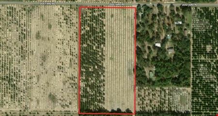 A look at Dogyard Road 21 Acres commercial space in LAKE WALES