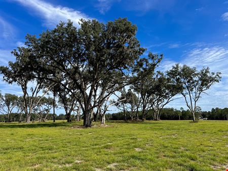 A look at 80 +/- Acres in Horse Country commercial space in Fellowship