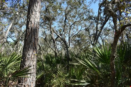 A look at Hidden Lake Preserve commercial space in New Port Richey