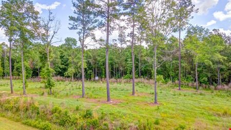 A look at 39 +/- acres located adjacent to Industrial Park- Andalusia AL commercial space in Andalusia