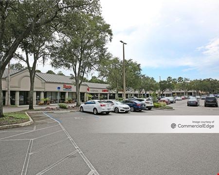 A look at Shoppes of Amberly Commercial space for Rent in Tampa