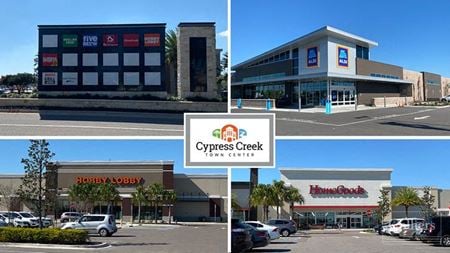 A look at Cypress Creek Town Center Retail space for Rent in Lutz