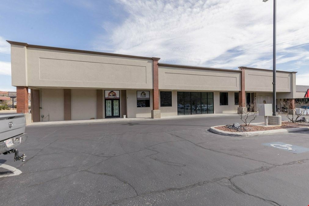 Ace Hardware Anchored Retail Space