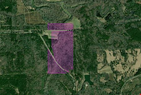 A look at 0000 County Road 8 - 68 acres commercial space in Tuskegee