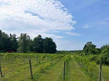 A look at Winery, Vineyard & Brewery for Sale - Tecumseh commercial space in Tecumseh