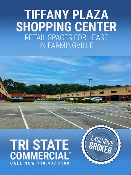 A look at 1,250 - 20,400 SF | 1075 Portion Rd | Tiffany Plaza Shopping Center Retail Spaces for Lease commercial space in Farmingville