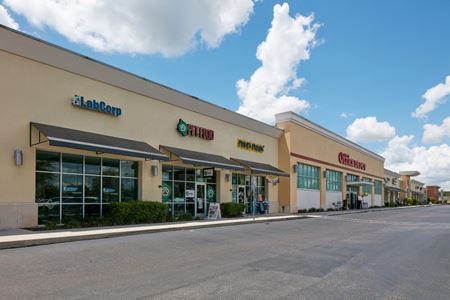 A look at The Shoppes at New Tampa commercial space in Wesley Chapel