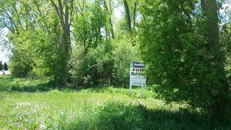 A look at 6 Acres on South State in Ann Arbor for Sale commercial space in Ann Arbor