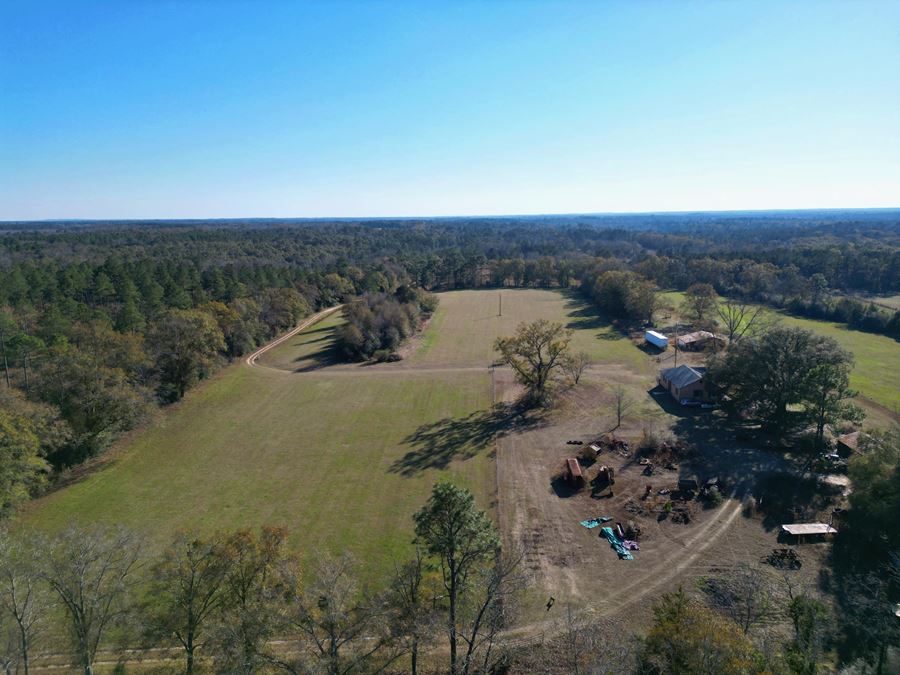 Secluded 240-Acre Cattle Farm in NE Holmes County, FL with Creek, Hunting Opportunities & Nearby Amenities
