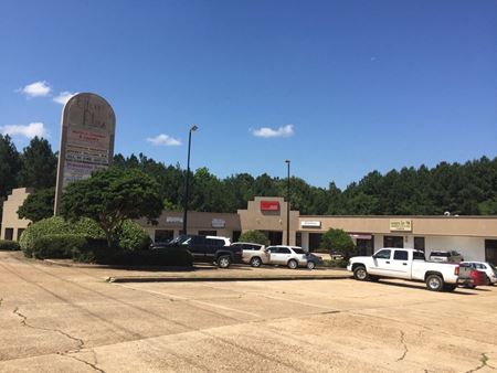 A look at Elton Place Shopping Center commercial space in Jackson