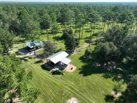 A look at Flynn Hunting & Timber Property in Lee County GA commercial space in Leesburg