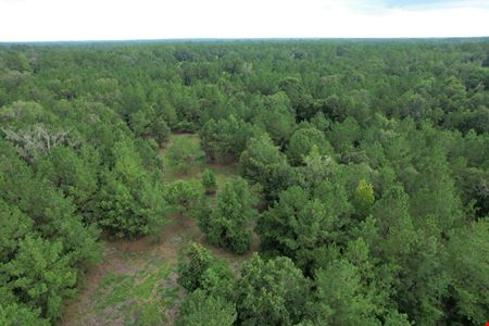 A look at Micanopy Homesite and Recreational Tract commercial space in Micanopy