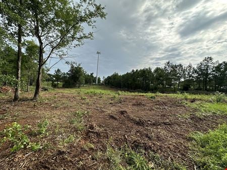 A look at Land for Sale in Malbis commercial space in Daphne