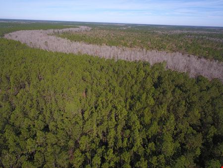 A look at Bayou Lacombe Timberland & Mitigation Area commercial space in Abita Springs
