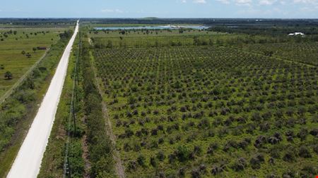 A look at Oslo Road 35 Acres commercial space in Vero Beach