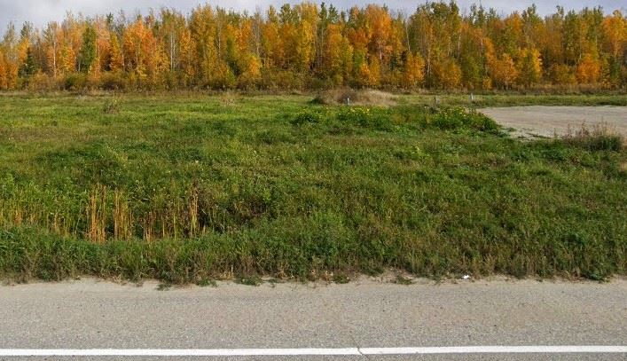 AUCTION. 0.84 Acre Land in Rainy River, ON
