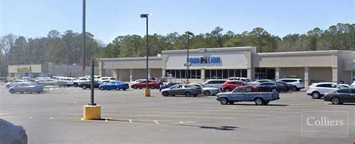 Food Lion Investment Opportunity | 6.91% Cap Rate