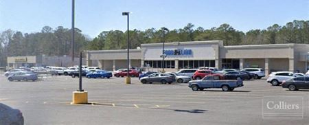 A look at Food Lion Investment Opportunity | 6.91% Cap Rate commercial space in Dillon