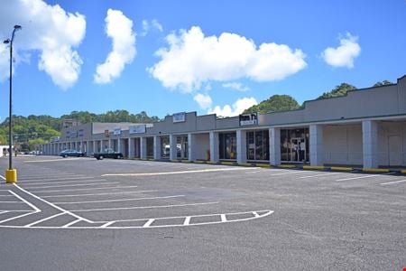 A look at Forest Hills Shopping Center Retail space for Rent in Montgomery